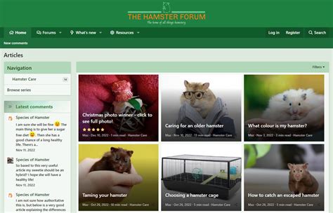 www.hamster. om|The Hamster Forum.